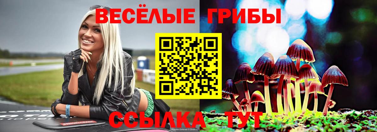 Галлюциногенные грибы Cubensis Подольск